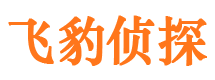 元江市侦探公司